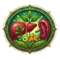 Liver & Spleen Support