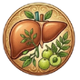 Liver Support