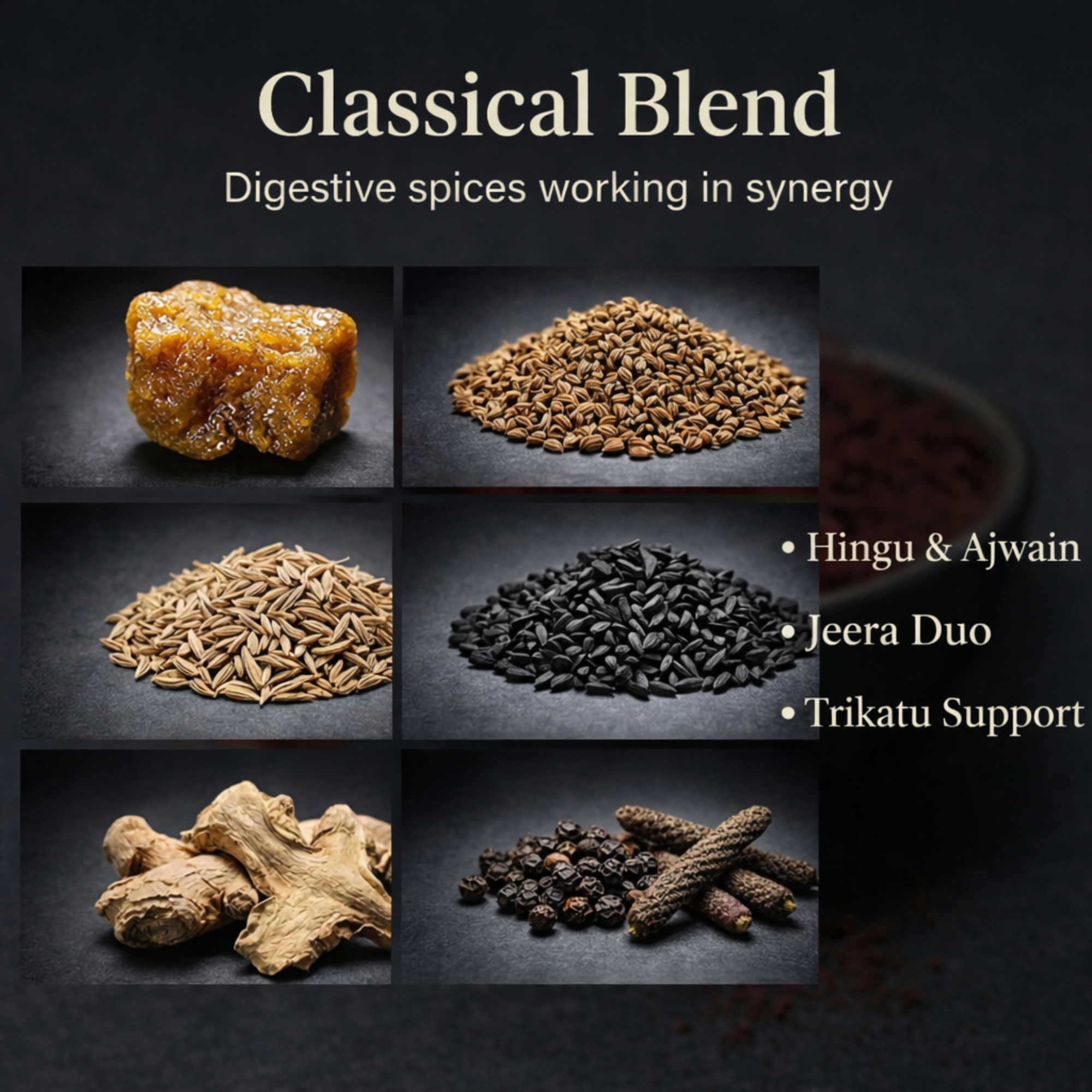 Hingwastak Churna – 100 g | Classical Ayurvedic Digestive Powder | Supports Agni, Digestion & Metabolism | Helps Gas, Bloating & Abdominal Discomfort | Vata Balance for Gut | Ayurvedic Medicine