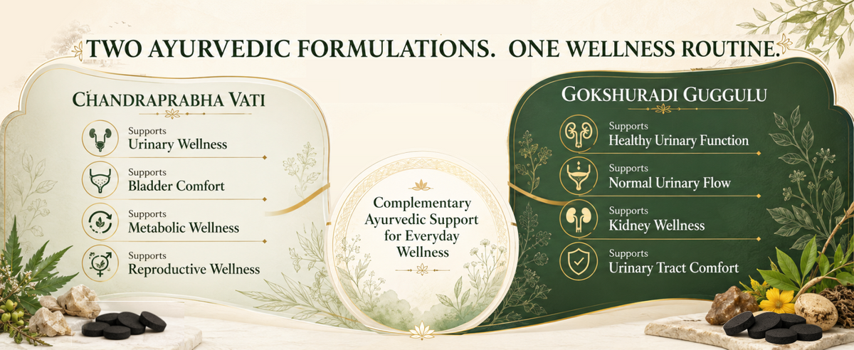 Urinary Wellness Combo with Chandraprabha Vati & Gokshuradi Guggulu | 120 Tablets