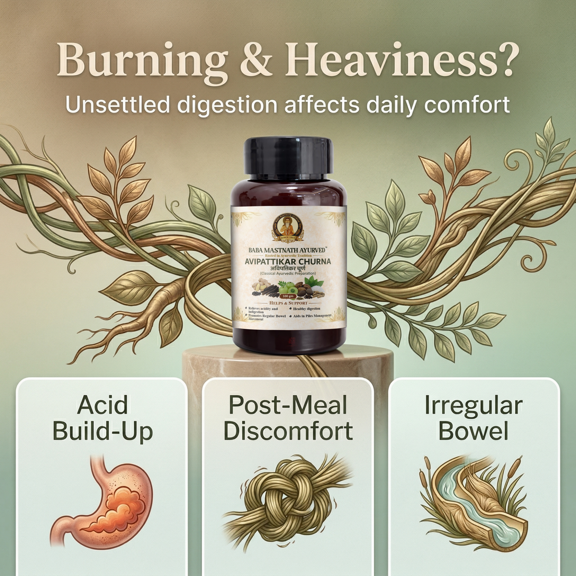 Avipattikar Churna – 100 g | Classical Ayurvedic Medicine | Supports Acidity, Indigestion & Healthy Digestion | Promotes Regular Bowel Movement & Piles Support | Herbal Digestive Powder