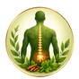 Back and Sciatica Support